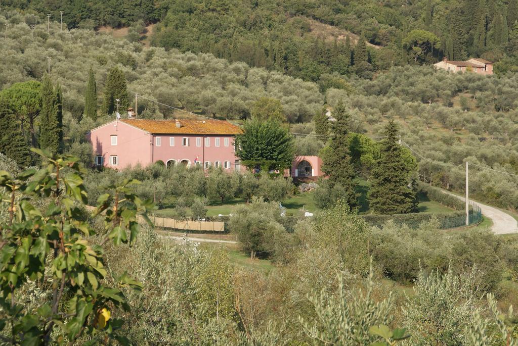 B & B San Jacopo Santomato Exterior foto